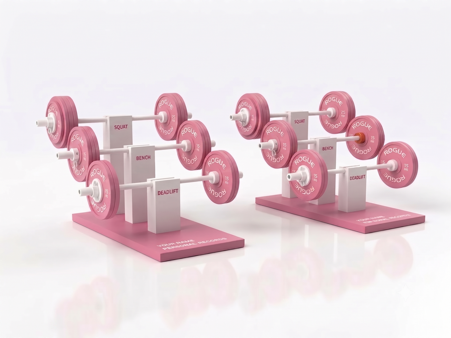 Gym PR stand full set on a shelf